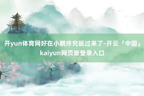 开yun体育网好在小鹏终究挺过来了-开云「中国」kaiyun网页版登录入口