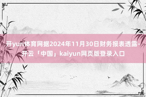开yun体育网据2024年11月30日财务报表透露-开云「中国」kaiyun网页版登录入口